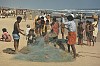 Strandliv utan turister i Puri, Orissaprovinsen, Indien. Mars 1994.