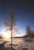 Winter sun in Österbotten, Finland. December 2001.